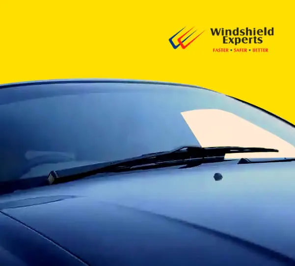 Windshield Experts