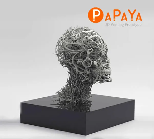 Papaya 3D